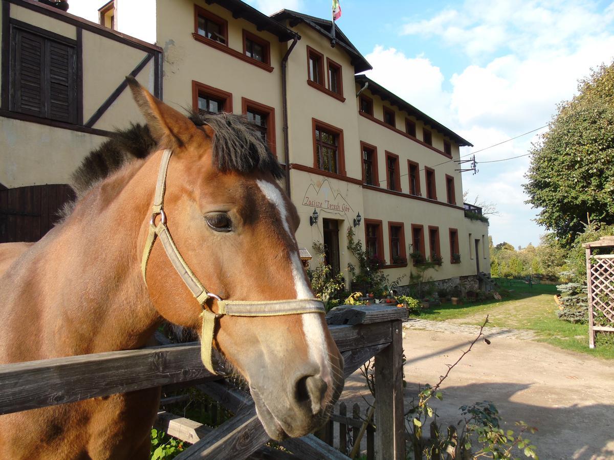 Vila Zacisze Trzech Gor Jedlina-Zdroj Exteriér fotografie