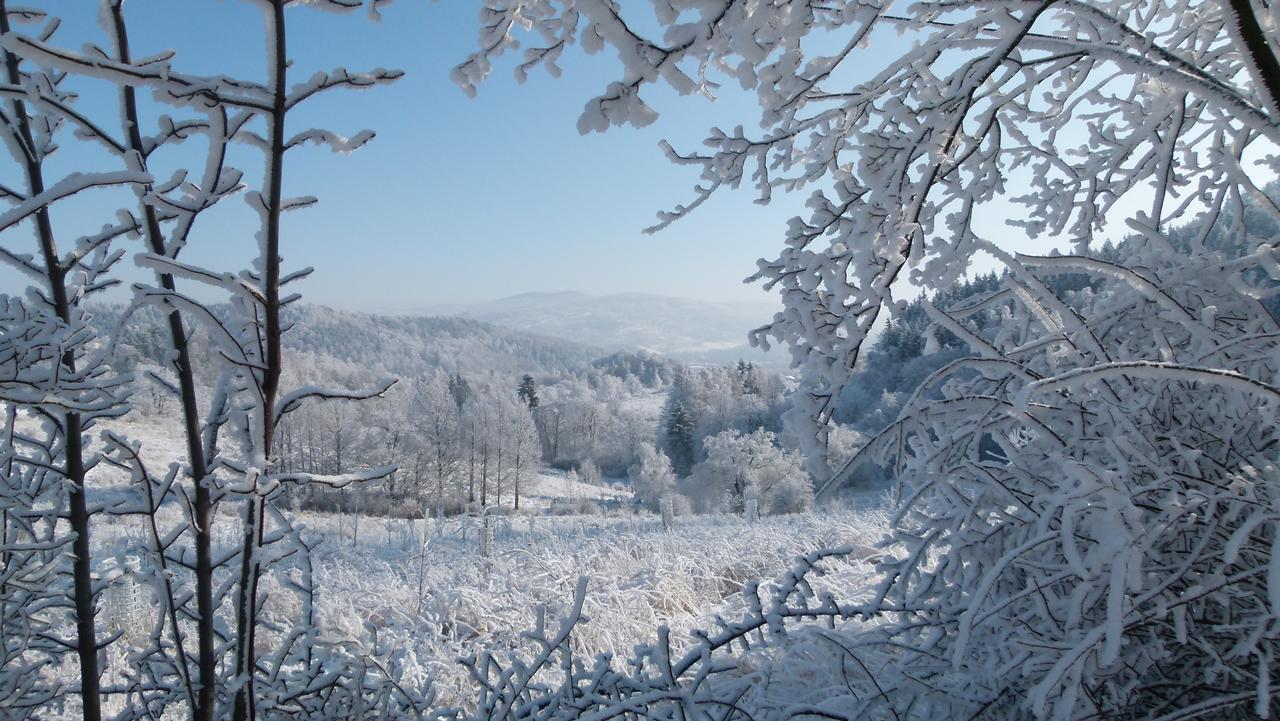 Vila Zacisze Trzech Gor Jedlina-Zdroj Exteriér fotografie