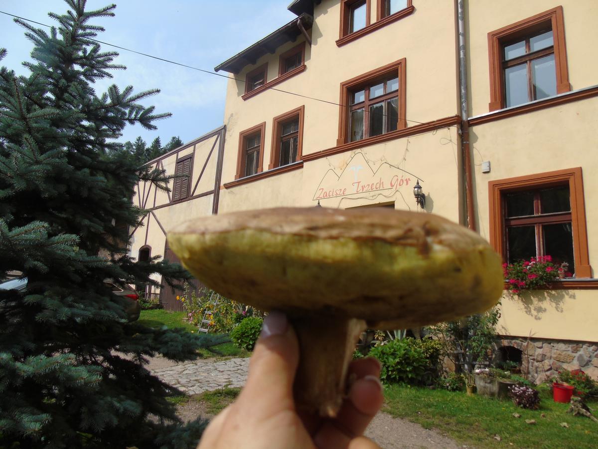 Vila Zacisze Trzech Gor Jedlina-Zdroj Exteriér fotografie