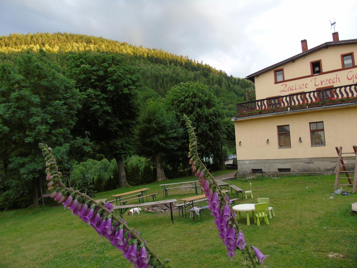 Vila Zacisze Trzech Gor Jedlina-Zdroj Exteriér fotografie