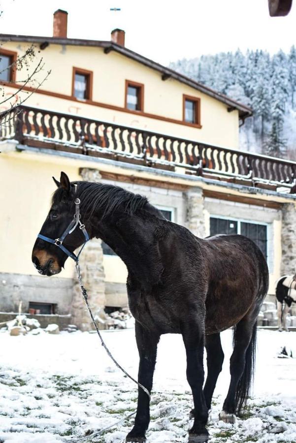 Vila Zacisze Trzech Gor Jedlina-Zdroj Exteriér fotografie