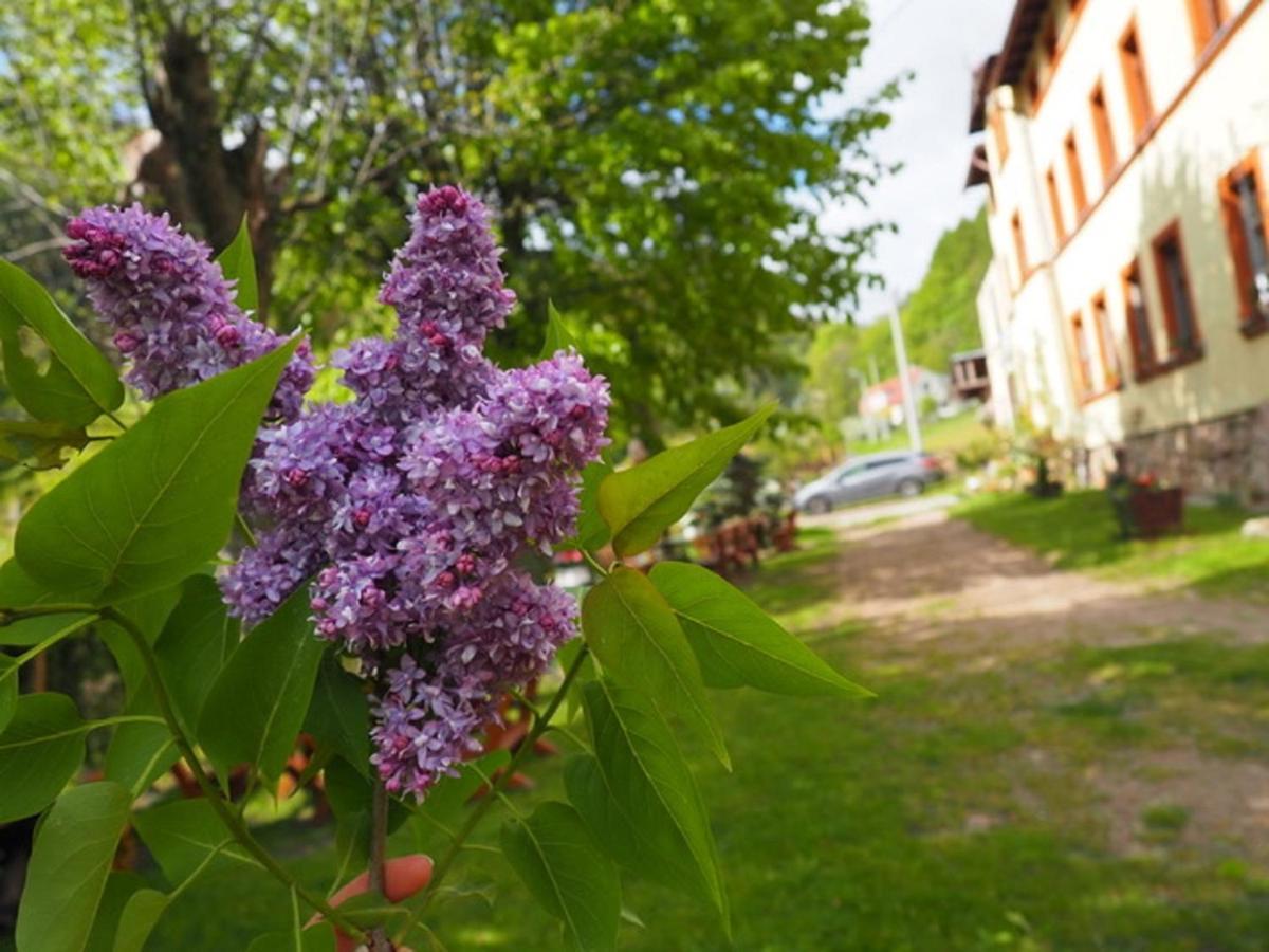 Vila Zacisze Trzech Gor Jedlina-Zdroj Exteriér fotografie
